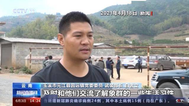 2025新澳门和香港正版免费大全,词语释义、专家解析解释与落实与警惕虚假宣传